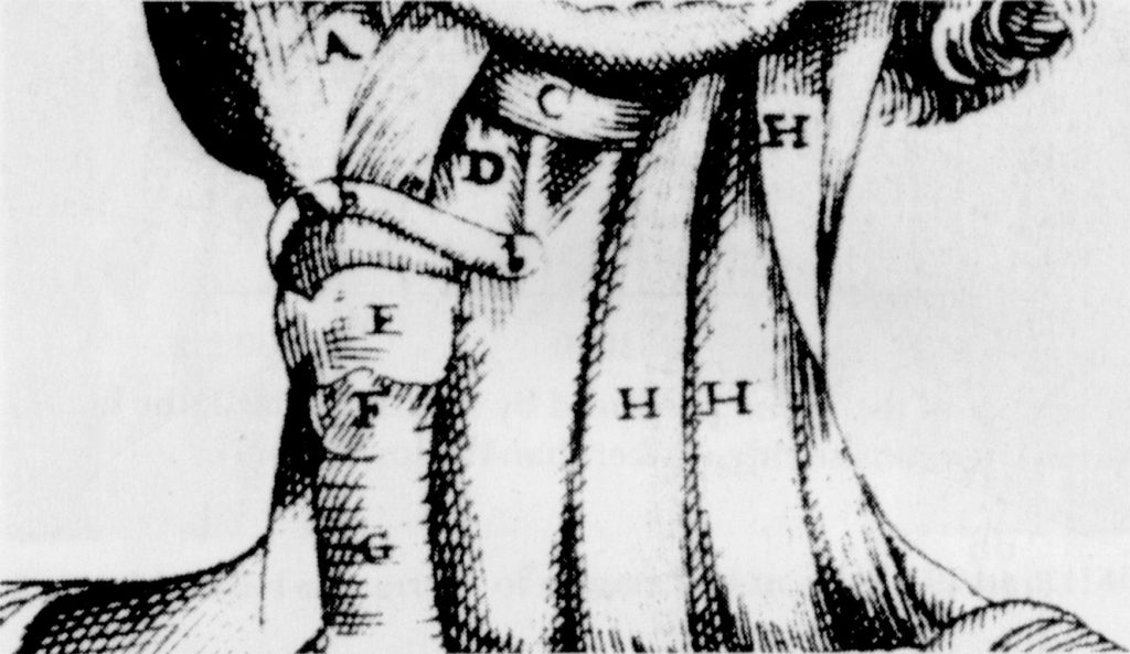 Fig. 1/a. Da una tavola del De vocis auditusque historia anatomica (Ferrara, 1600) di Giulio Cesare Casseri (Casserius). Questa incisione rinascimentale mostra come la laringe (indicata con «E») costituisca il culmine della trachea e come la sua parte frontale corrisponda alla sporgenza del pomo d’Adamo. Svariati muscoli al di sopra e al di sotto di essa possono modificare la sua posizione verticale.