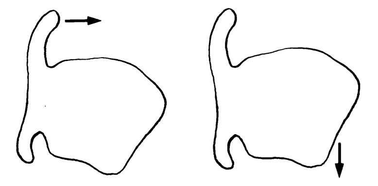 Fig. 3/a: tecnica da camera rinascimentale Fig. 3/b: voix sombrée