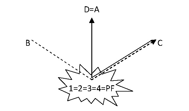 Fig.10